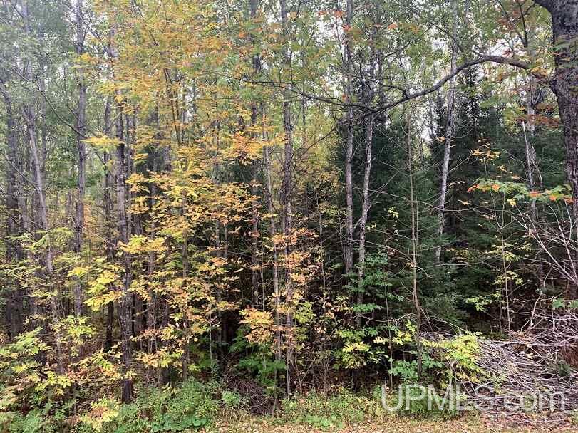 N15751 40 Road Rock, MI 49880 - Photo 2 of 13