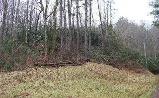 a view of a yard with trees in the background