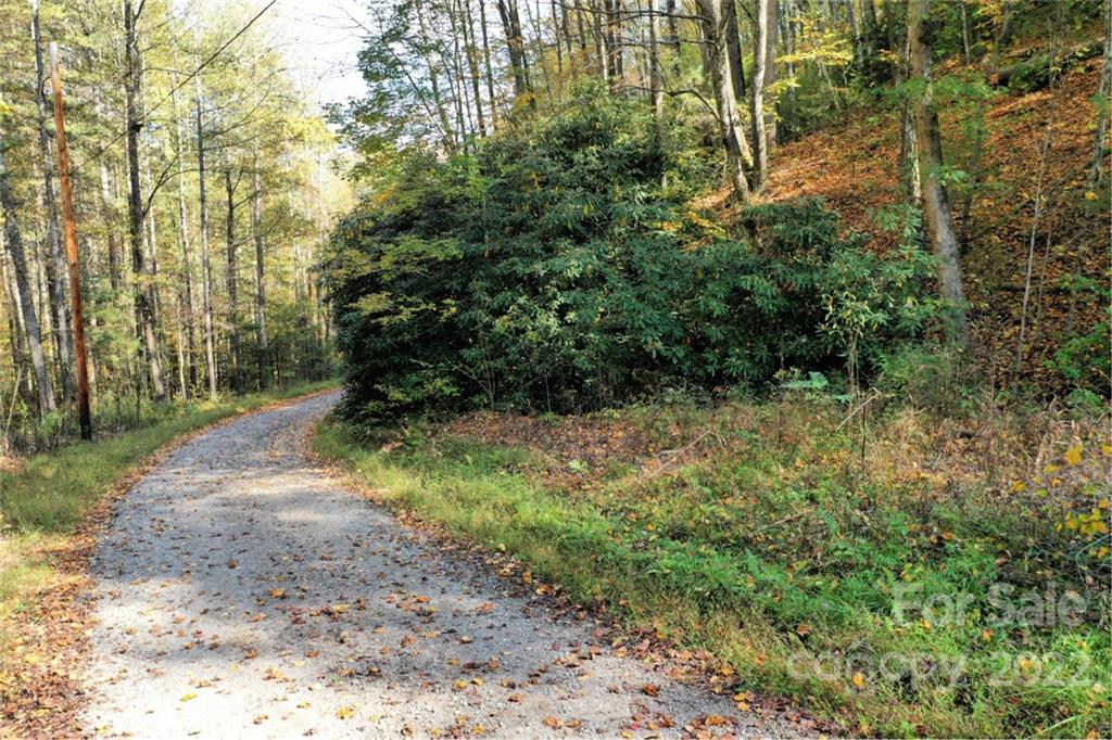 Vl302 Mountain Forest Estates, Unit NONE Sylva, NC 28779 - Photo 6 of 10 a view of a yard with plants and large trees