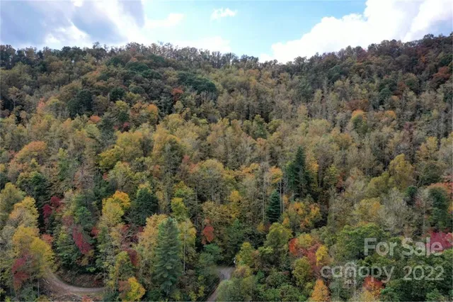 an aerial view of forest