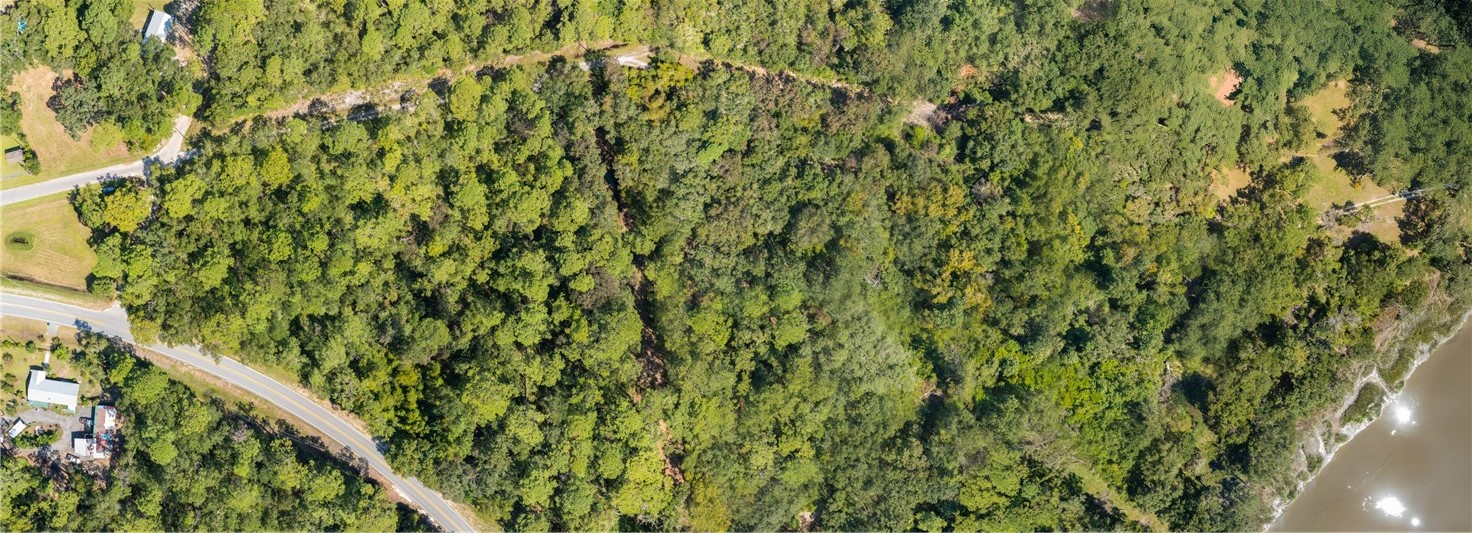 0 Ga-99 And Donnelly Road Northeast, Unit TRACT 3) Townsend, GA 31331 - Photo 5 of 6 Bird's Eye View of Entire Property
