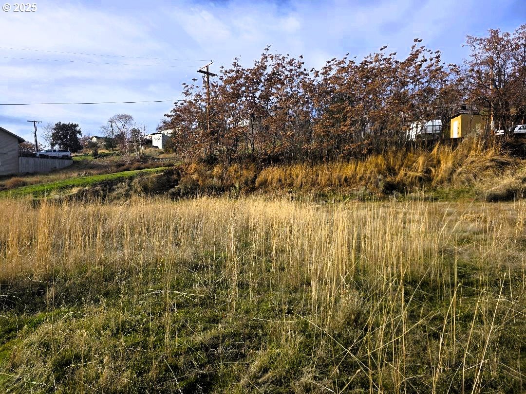 Elrod Place Maupin, OR 97037 - Photo 3 of 5 a view of lake