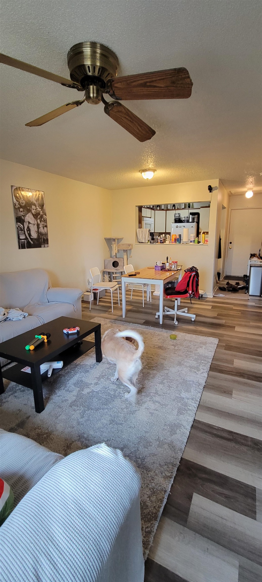 1340 Hunters Road, Unit J Harrisonburg, VA 22801 - Photo 20 of 37 Gallery Image 20