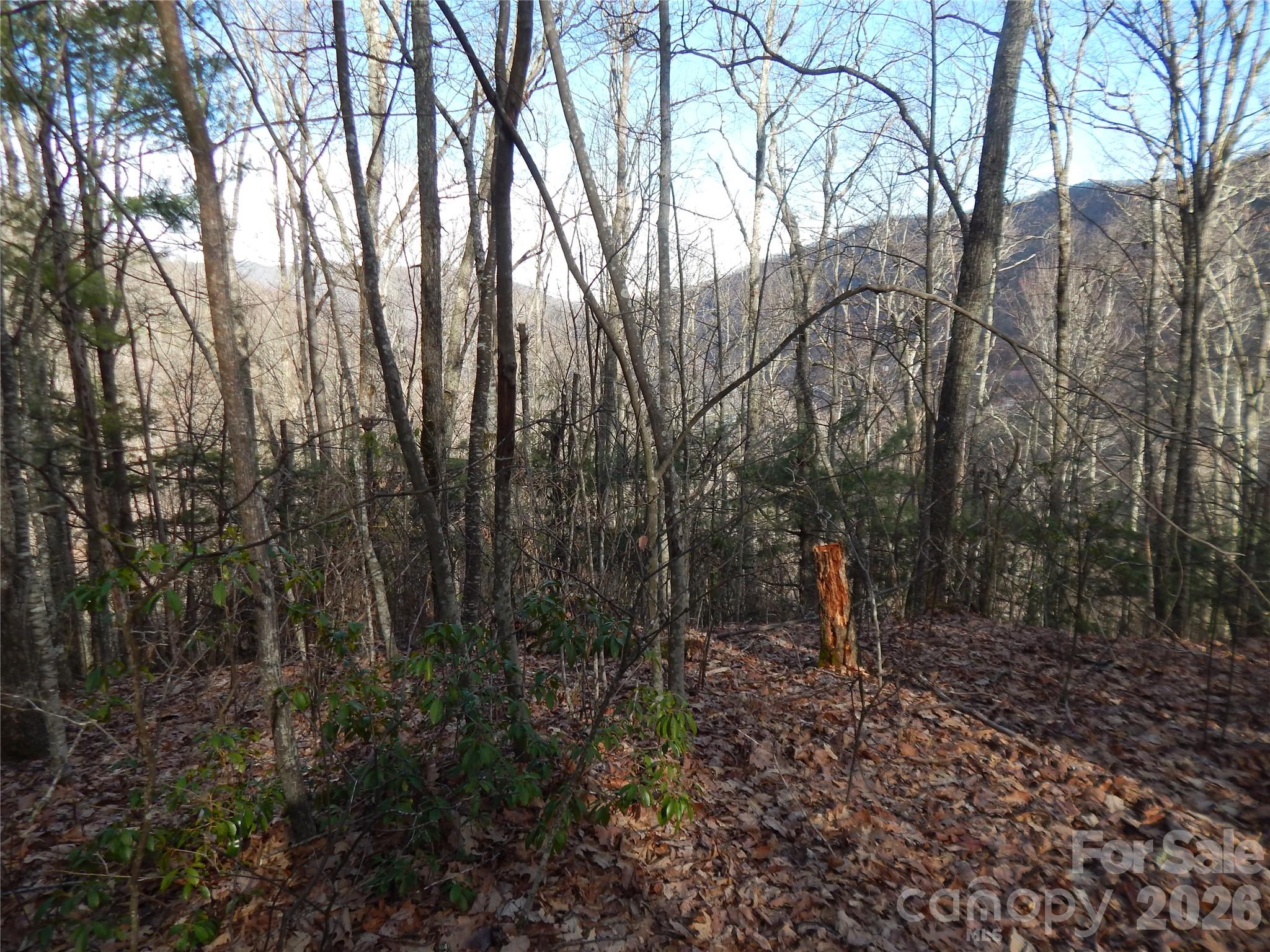 0 Hoot Owl Bill Road Maggie Valley, NC 28751 - Photo 15 of 24