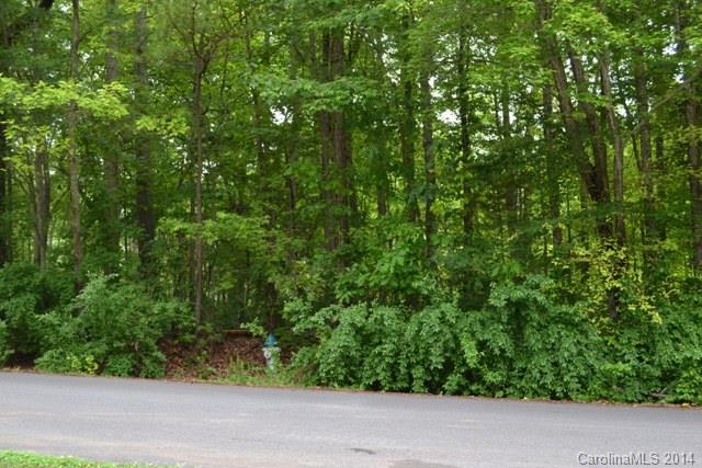 0 Goodplace Road Rock Hill, SC 29732 - Photo 1 of 1 Gallery Image 1