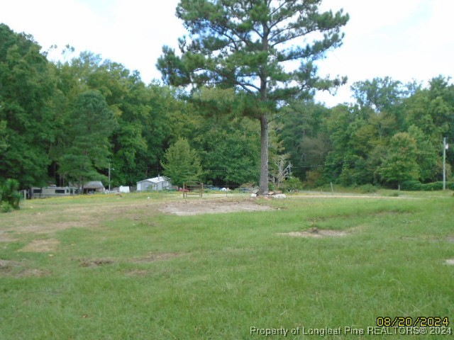 381 Lawrence Road Broadway, NC 27505 - Photo 4 of 24 Gallery Image 4