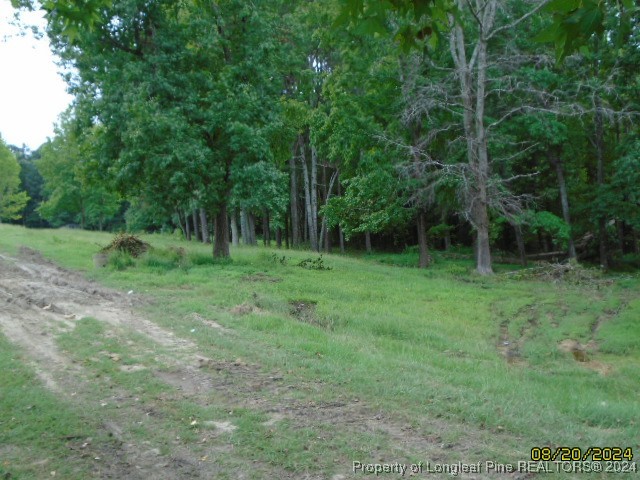 381 Lawrence Road Broadway, NC 27505 - Photo 6 of 24 Gallery Image 6