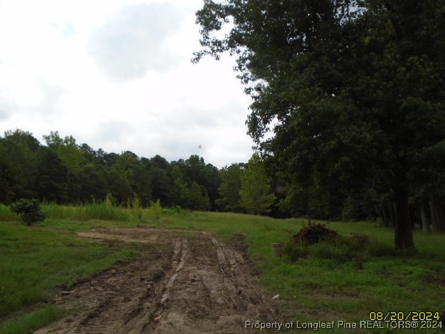 381 Lawrence Road Broadway, NC 27505 - Photo 8 of 24 Gallery Image 8