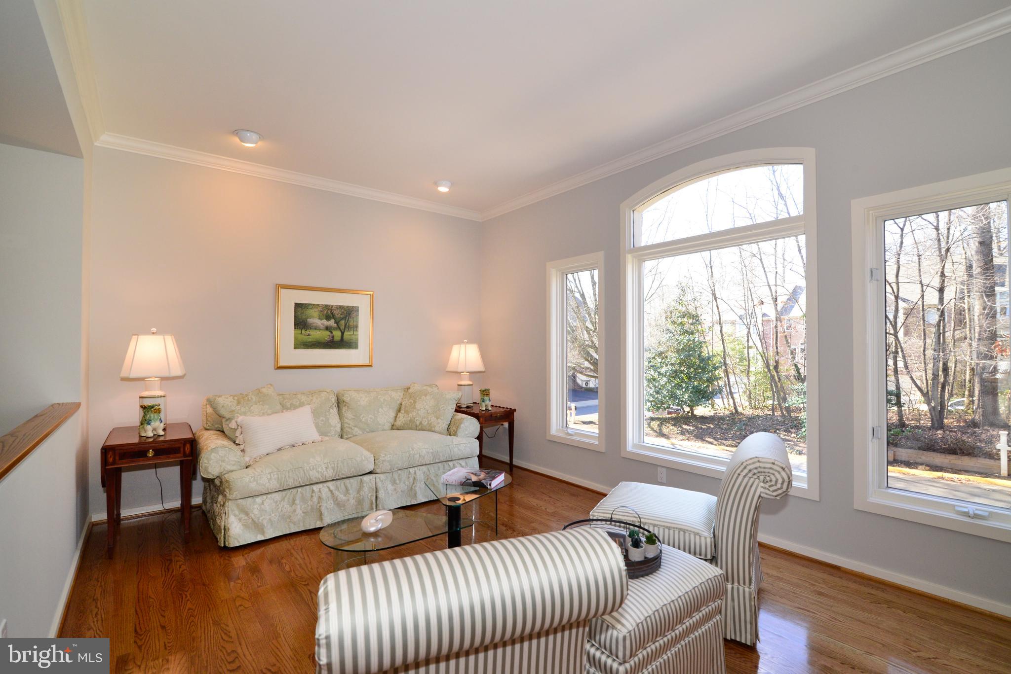 11520 Hemingway Drive Reston, VA 20194 - Photo 4 of 69 The grand Palladian windows bring the outdoors in