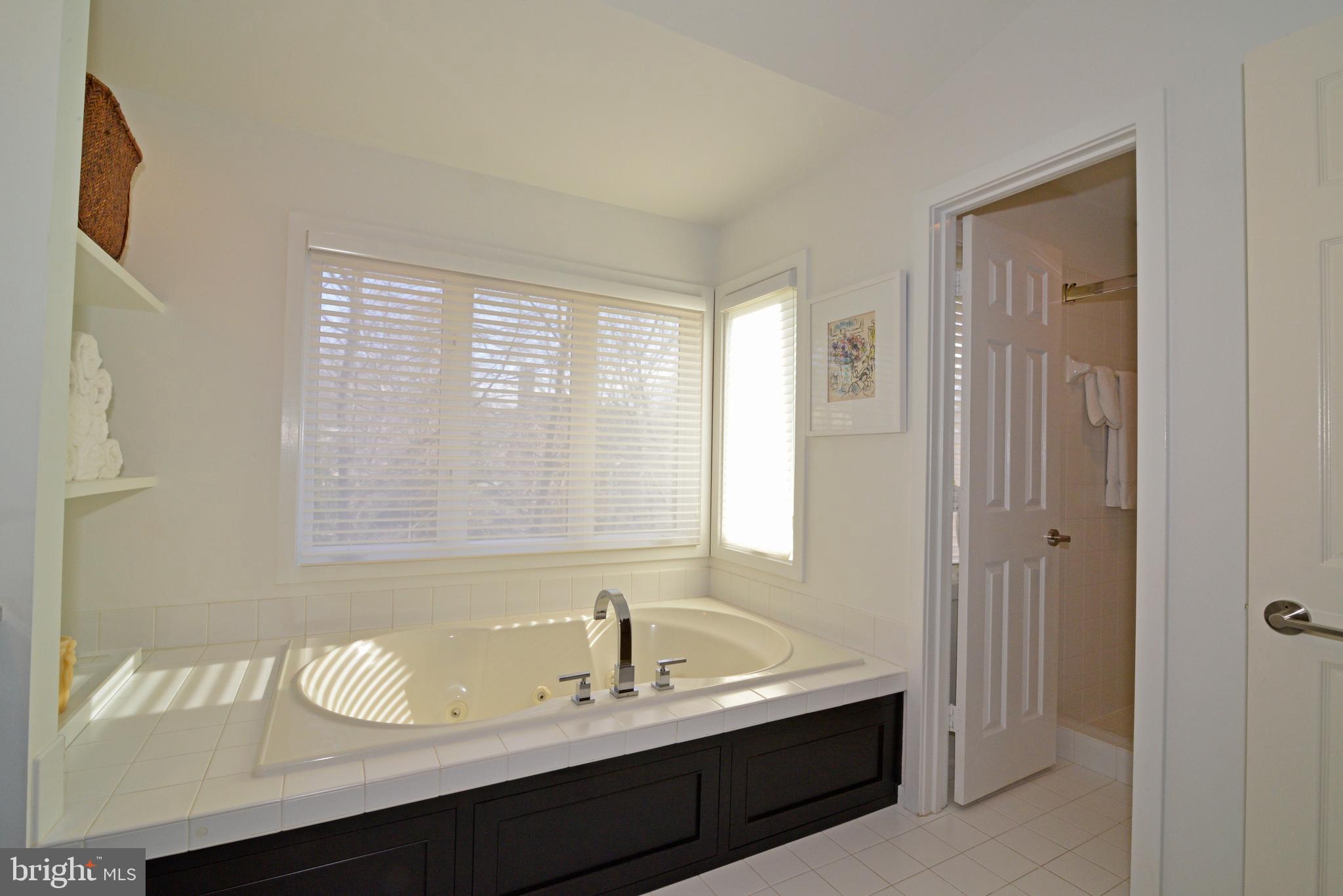 11520 Hemingway Drive Reston, VA 20194 - Photo 36 of 69 Enjoy your wooden view from the jetted tub