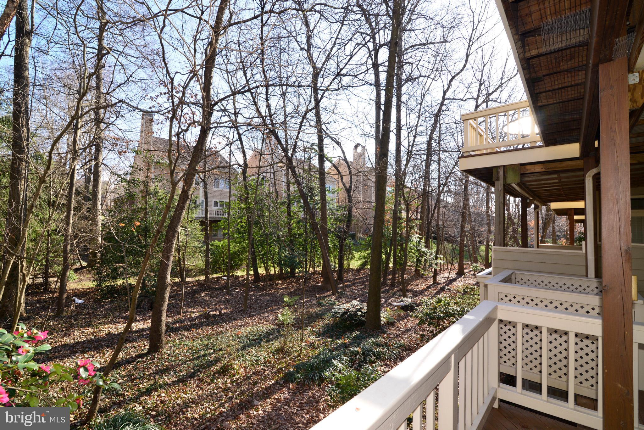 11520 Hemingway Drive Reston, VA 20194 - Photo 65 of 69