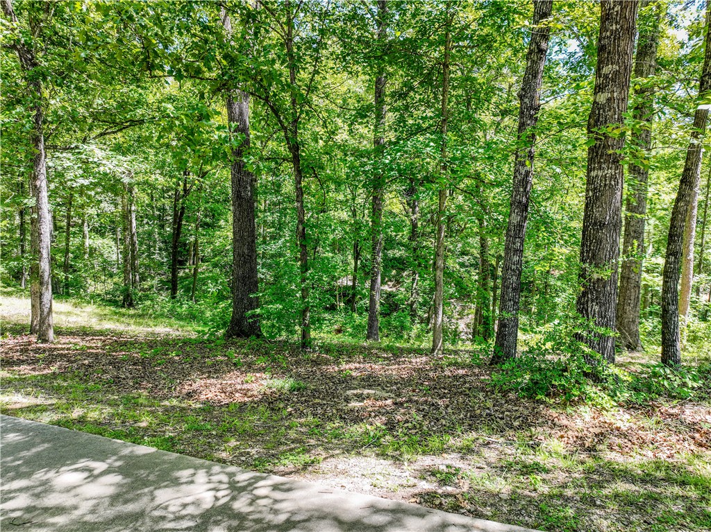 164 Wild Azalea Point Seneca, SC 29672 - Photo 28 of 31
