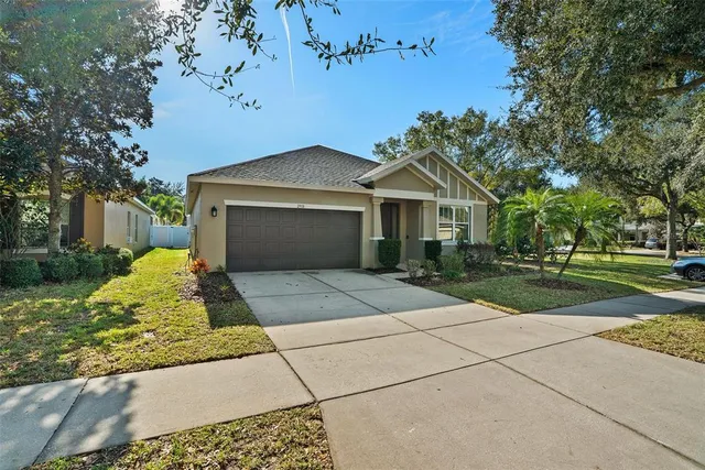 a view of a park with large trees