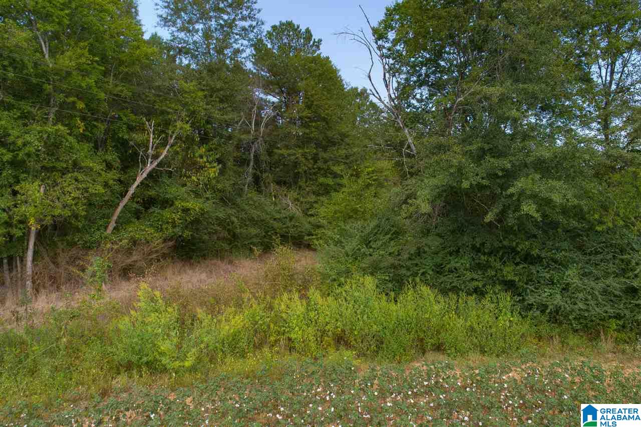464 Old Georgia Circle Alpine, AL 35014 - Photo 11 of 11