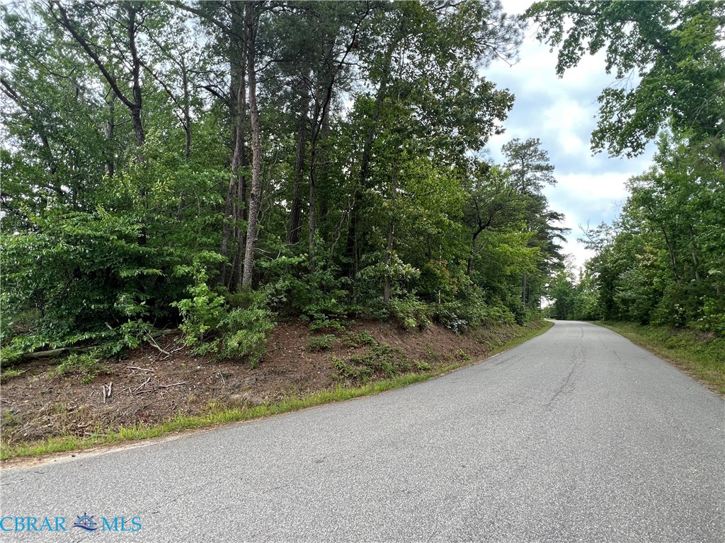 Tbd Moss Swamp Road Urbanna, VA 23175 - Photo 2 of 2