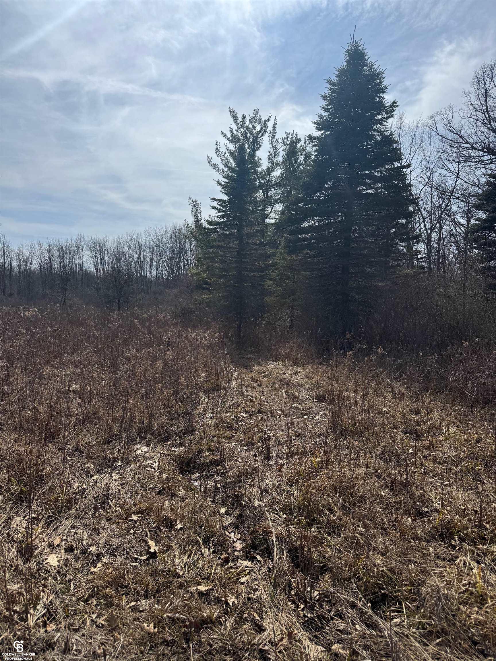 11105 Bryce Road Emmett, MI 48022 - Photo 30 of 44 50169414-97fa10a6-07bc-4413-aaf0-c1e1f2d8671b.JPG