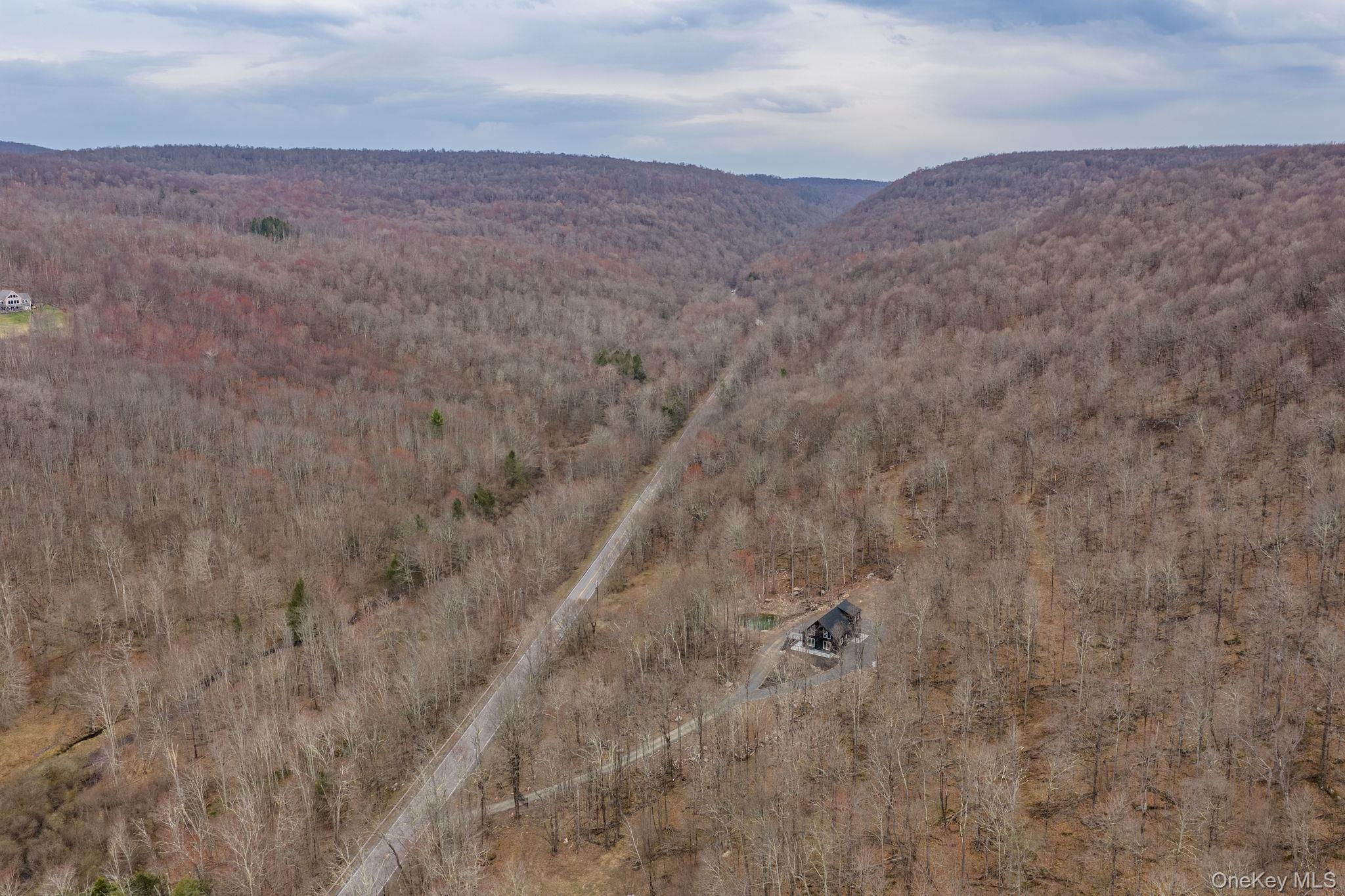 1211 Gulf Road Callicoon Center, NY 12724 - Photo 27 of 31