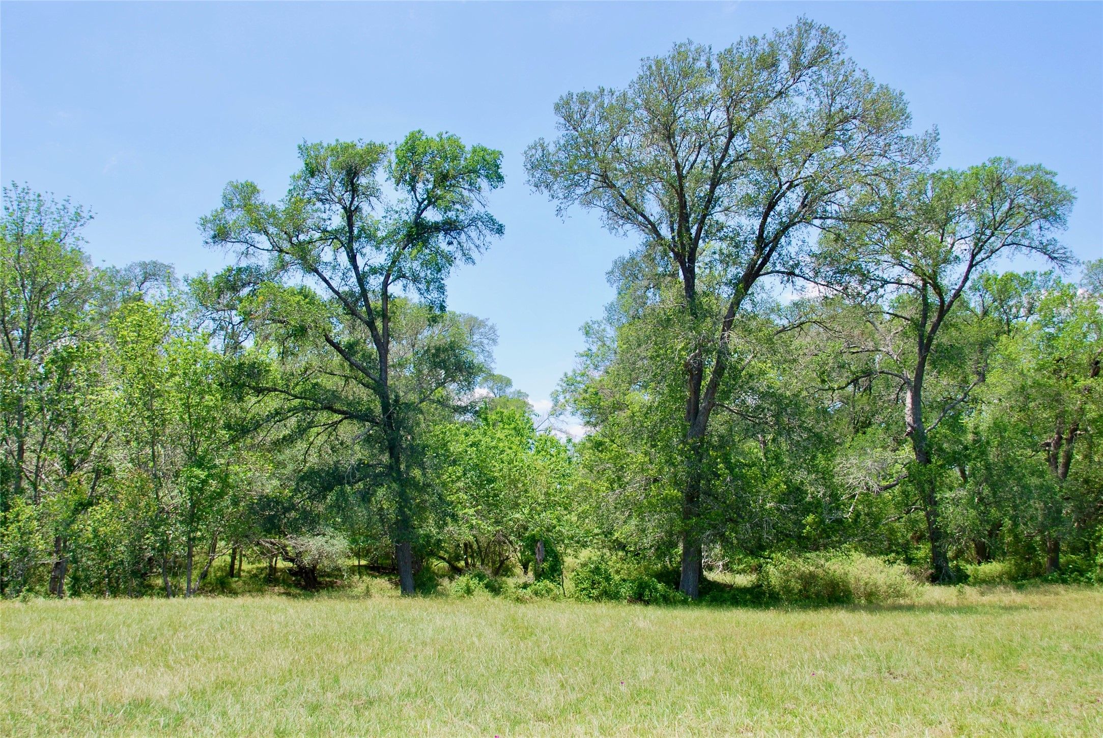 2170 Langdon Road Weimar, TX 78962 - Photo 6 of 31