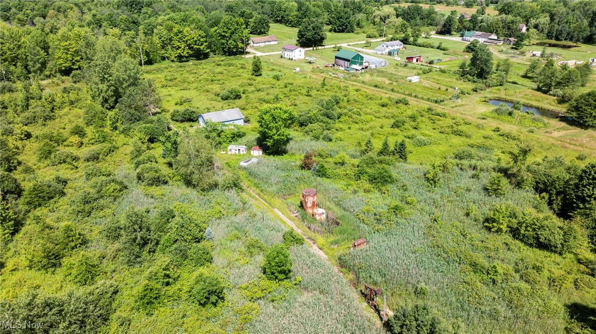 876 Clay Road Jefferson, OH 44047 - Photo 16 of 18 Bird's eye view of a heavily wooded area