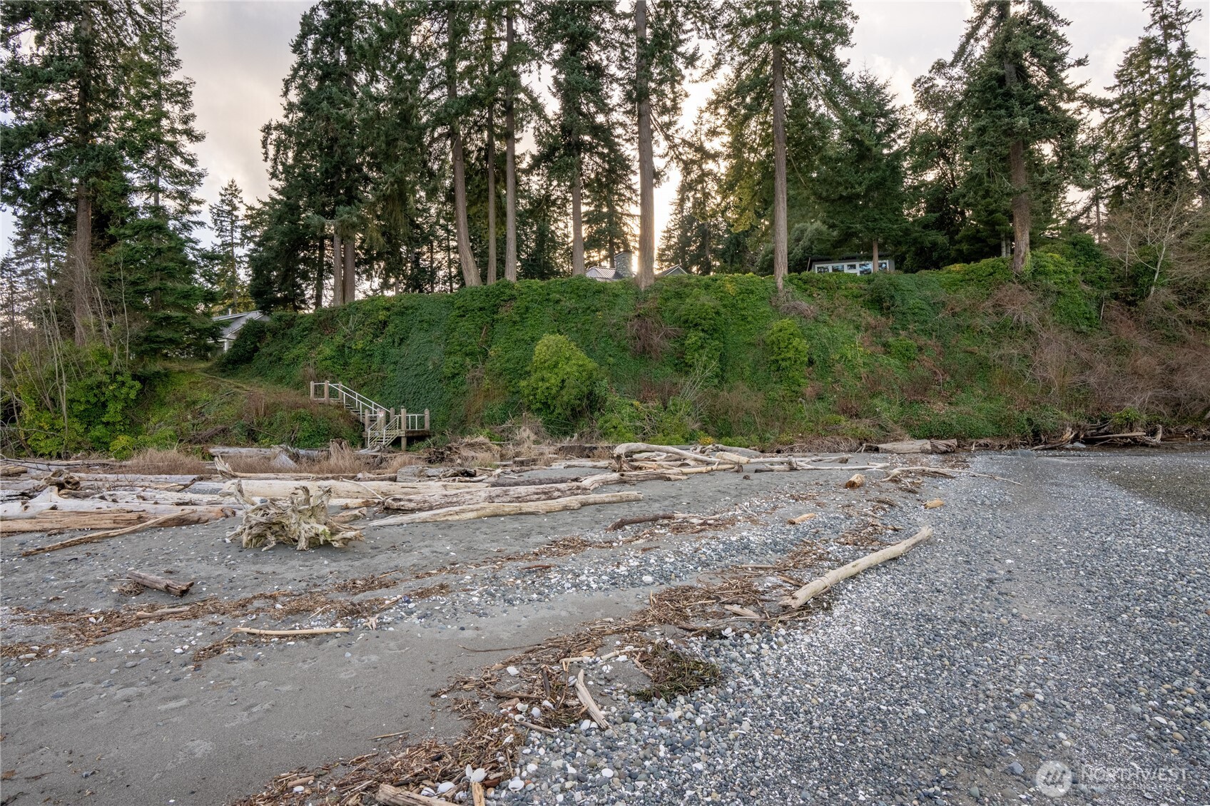 33244 Eglon Road Northeast Kingston, WA 98346 - Photo 2 of 40 a view of a yard with a tree