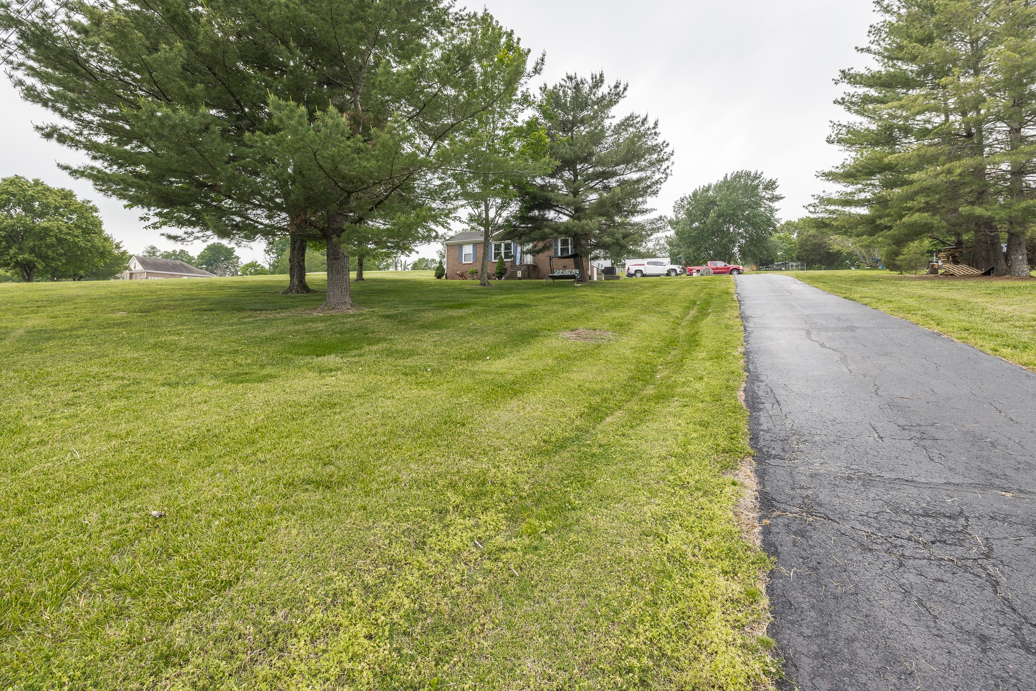 a view of a field with large trees