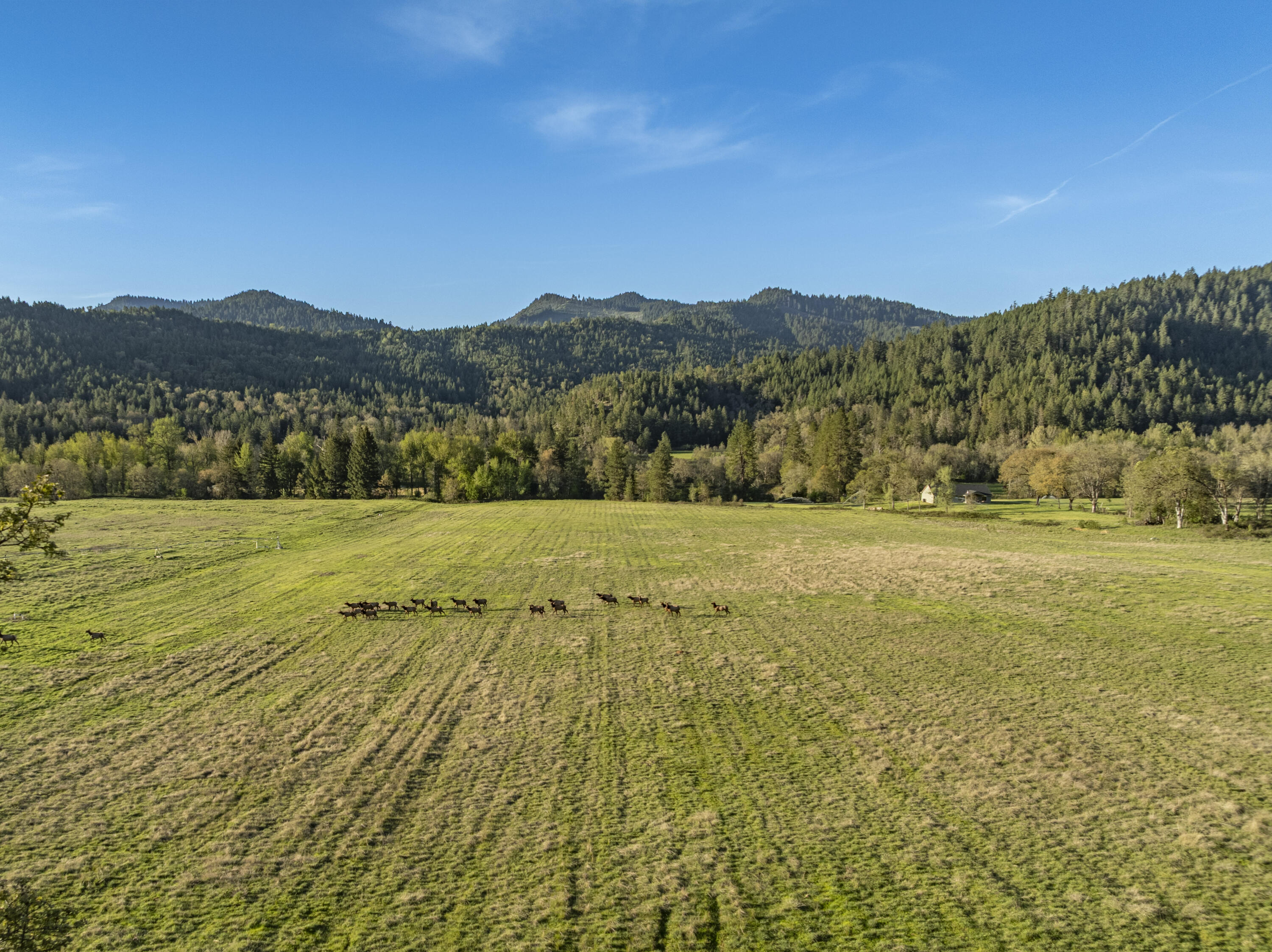 1775 Leland Road Wolf Creek, OR 97497 - Photo 37 of 49 Leland37