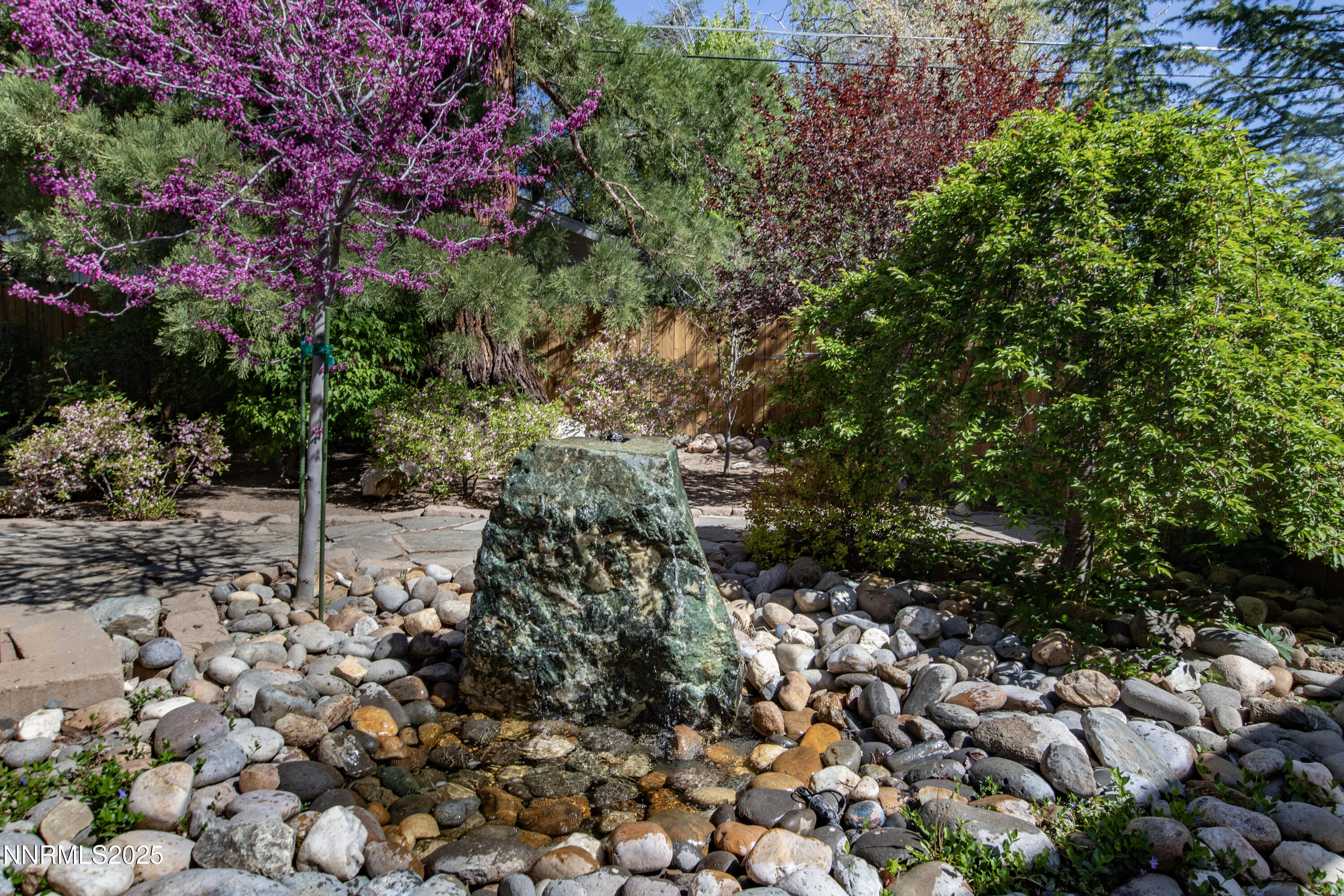 1145 Alpine Circle Reno, NV 89509 - Photo 29 of 36 a picture of trees
