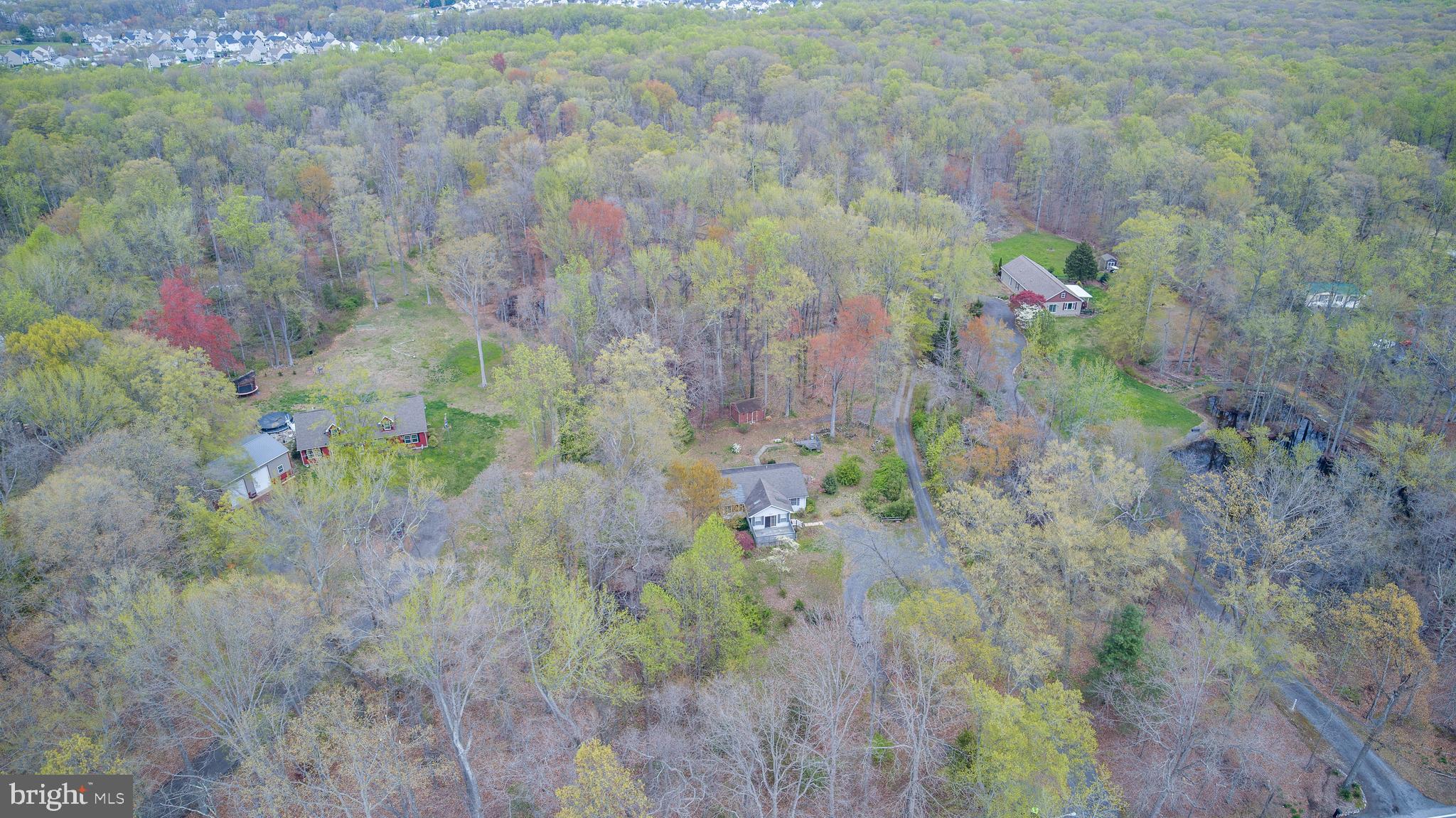 583 Blackbird Landing Road Townsend, DE 19734 - Photo 2 of 4 a view of a yard with a tree