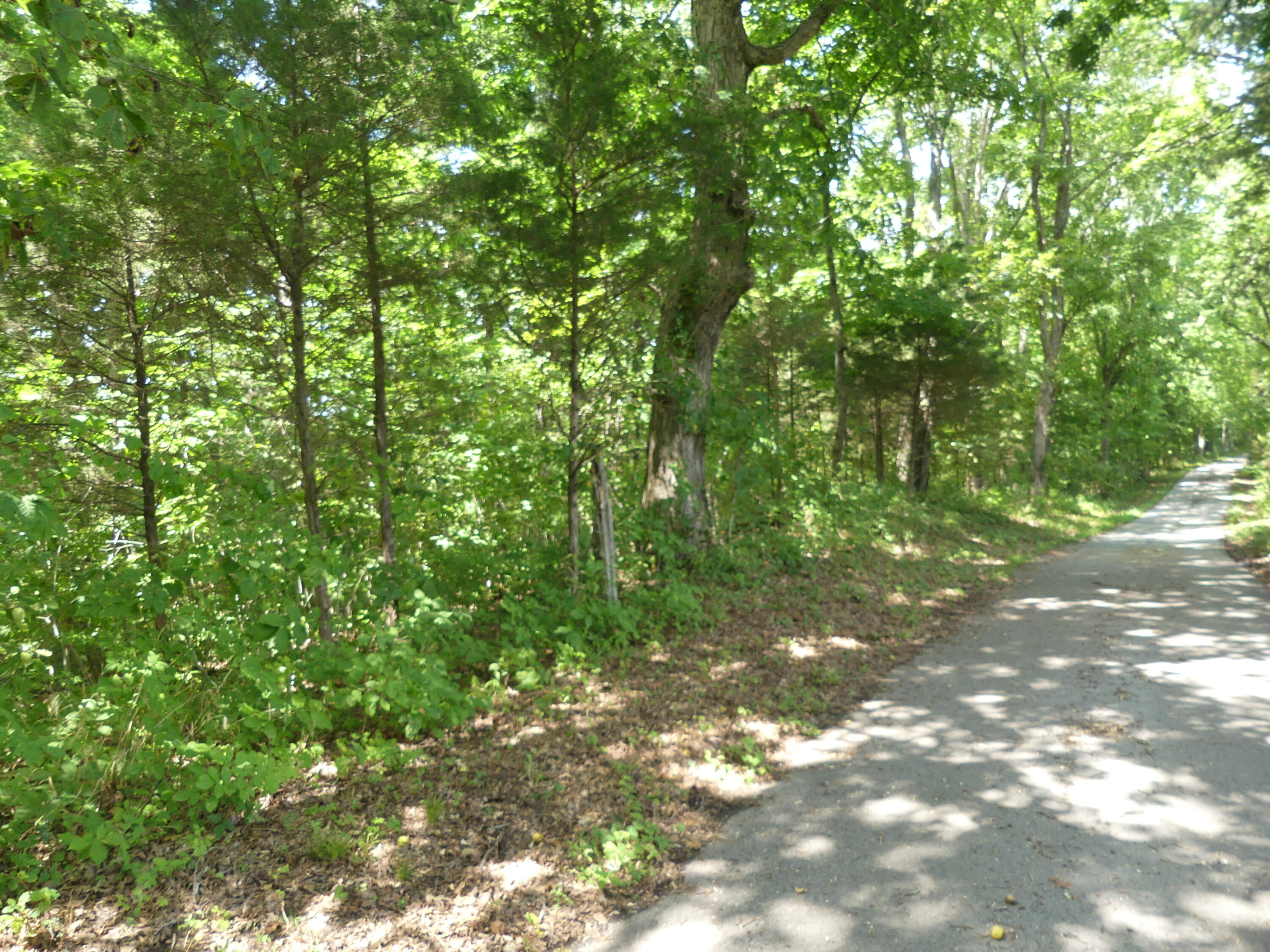 1040 Delaney Road Lawrenceburg, KY 40342 - Photo 10 of 55 P1020007