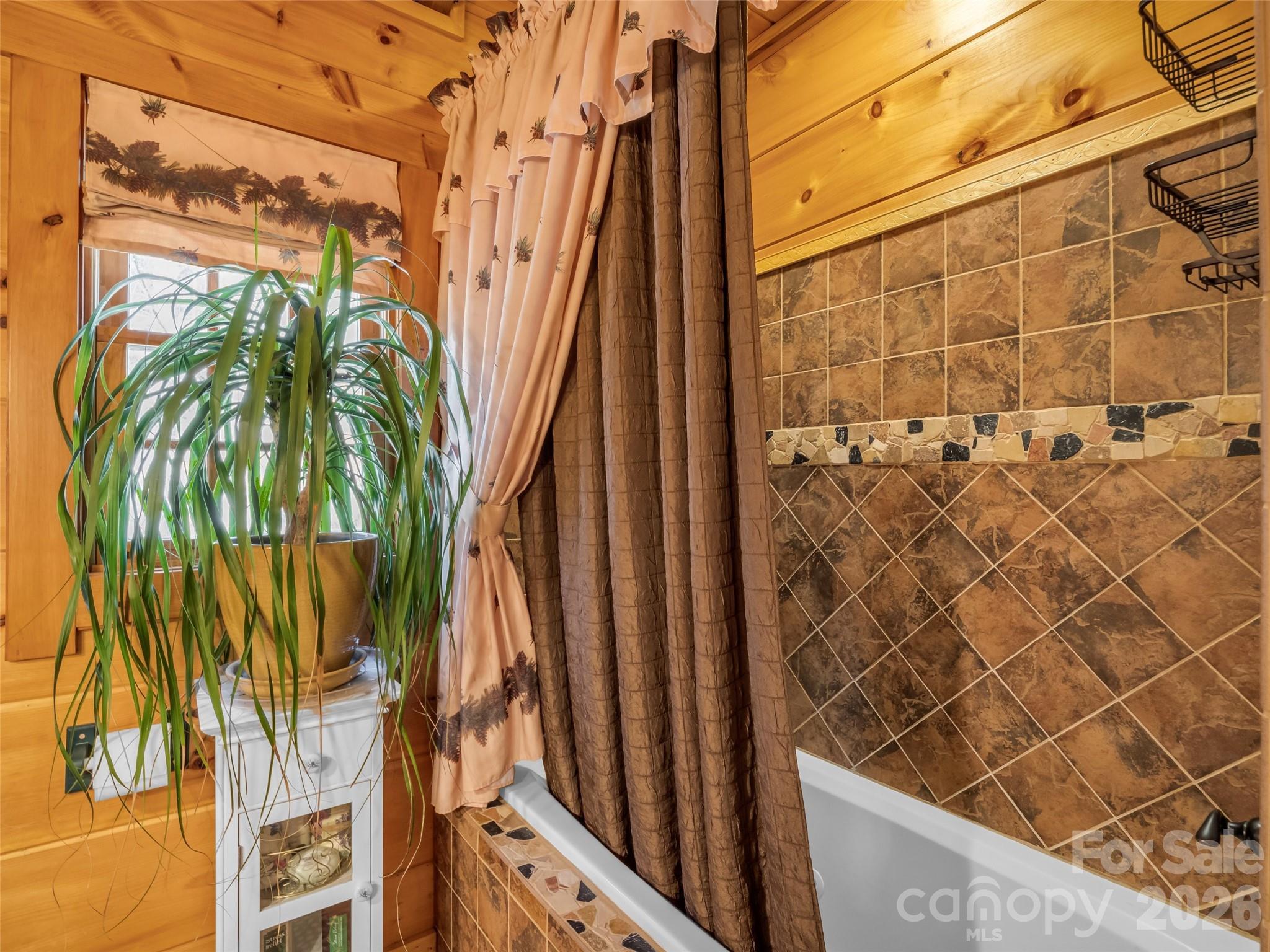 256 Bear Branch Road Hendersonville, NC 28792 - Photo 32 of 48