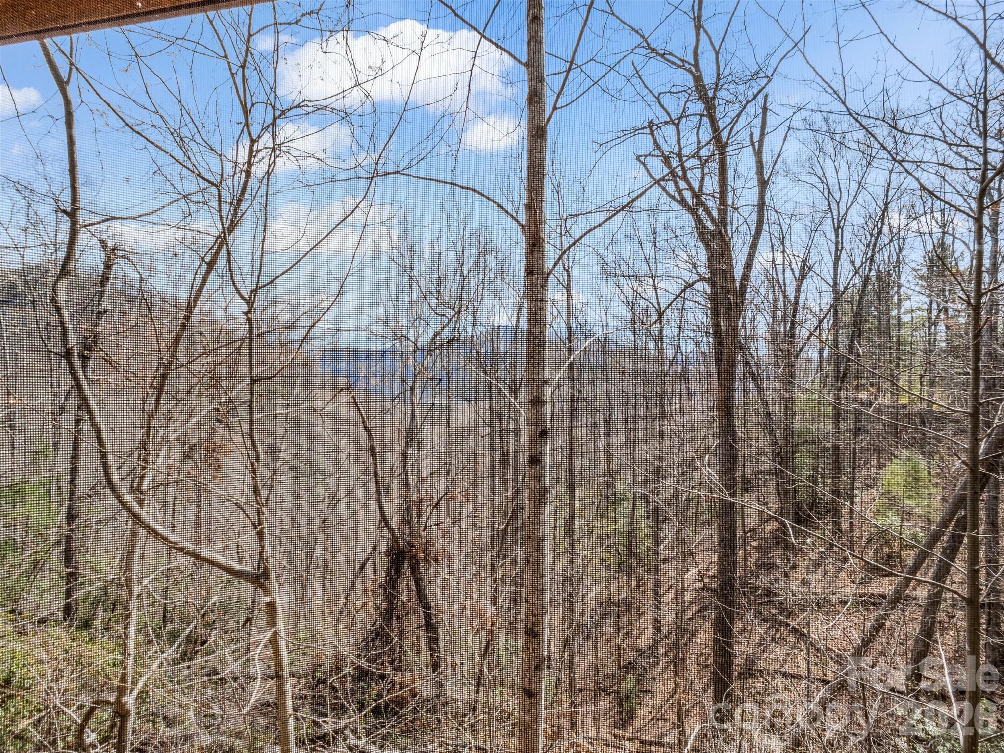 256 Bear Branch Road Hendersonville, NC 28792 - Photo 40 of 48