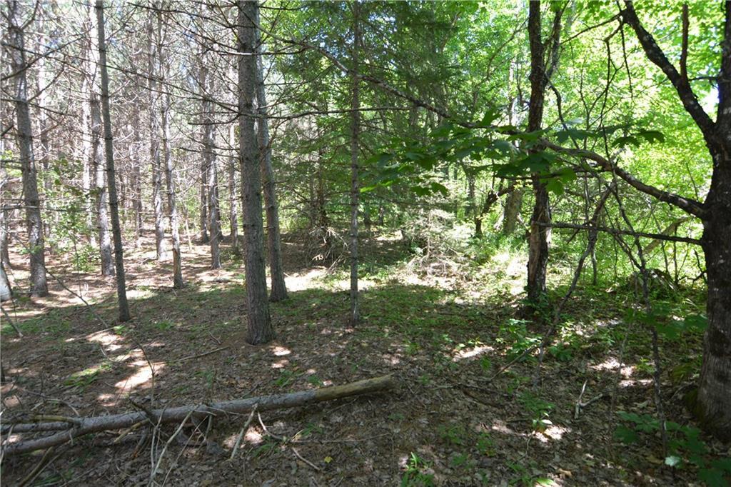 478 Kelly Road Wytopitlock, ME 04497 - Photo 18 of 18 Photo
