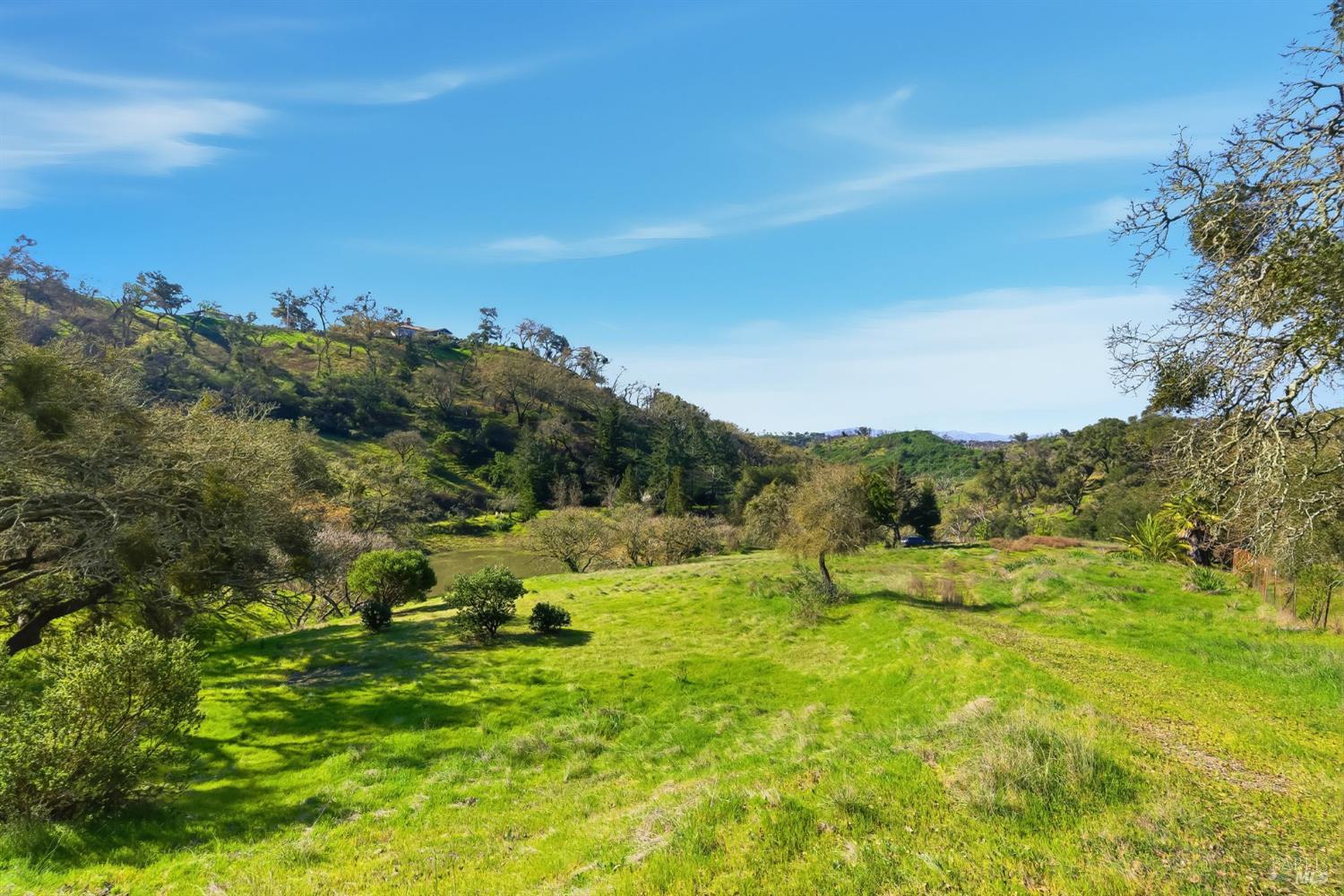 1477 Leslie Road Healdsburg, CA 95448 - Photo 15 of 40 a view of an outdoor space with a lake view