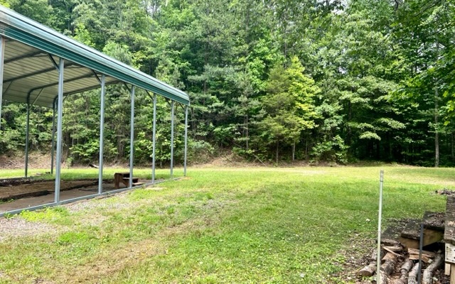 689 McDonald Road Murphy, NC 28906 - Photo 7 of 10 a view of outdoor space with a garden and trees