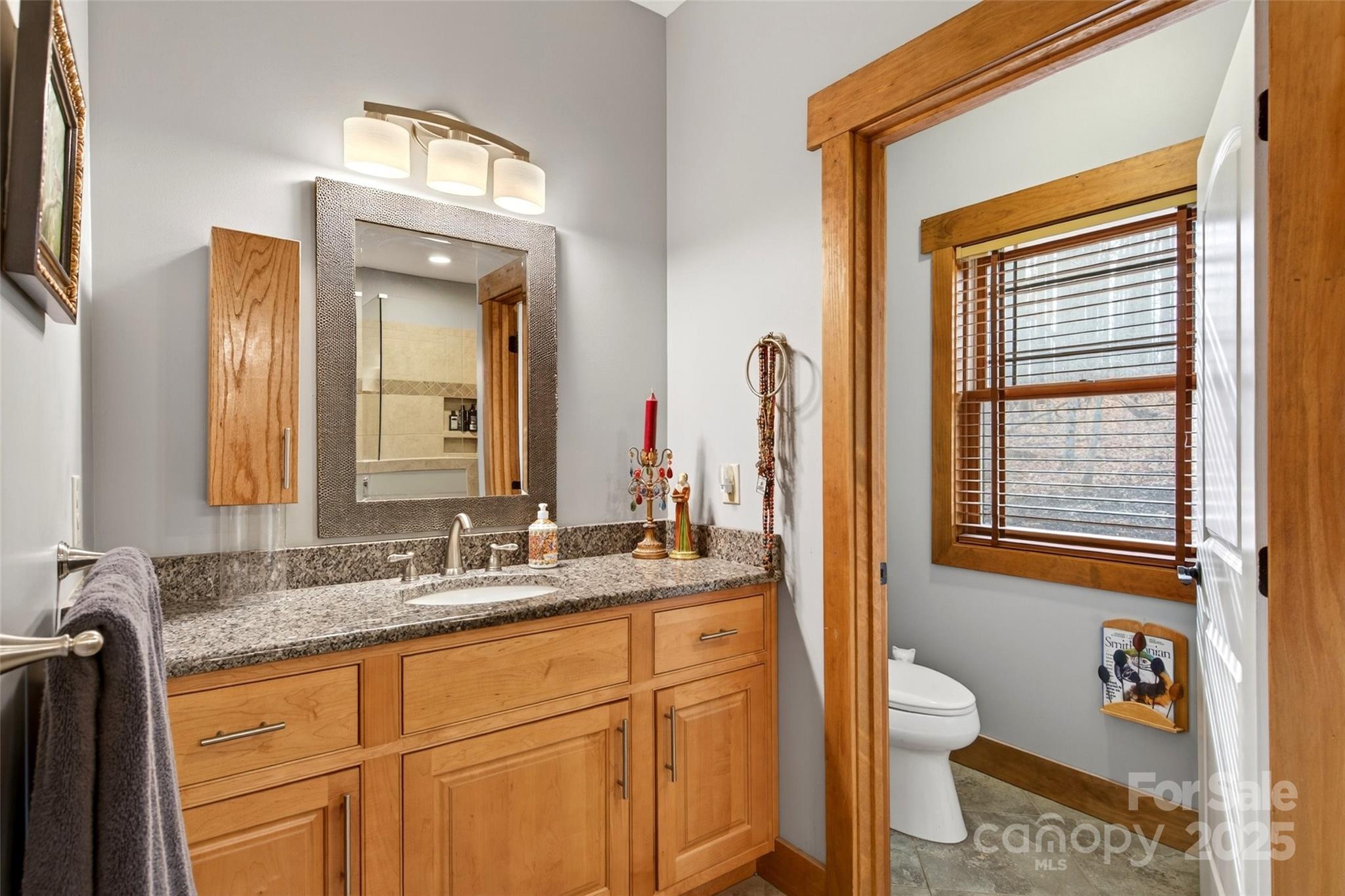 242 Lakeview Trail Nebo, NC 28761 - Photo 22 of 46 a bathroom with a granite countertop sink toilet and mirror