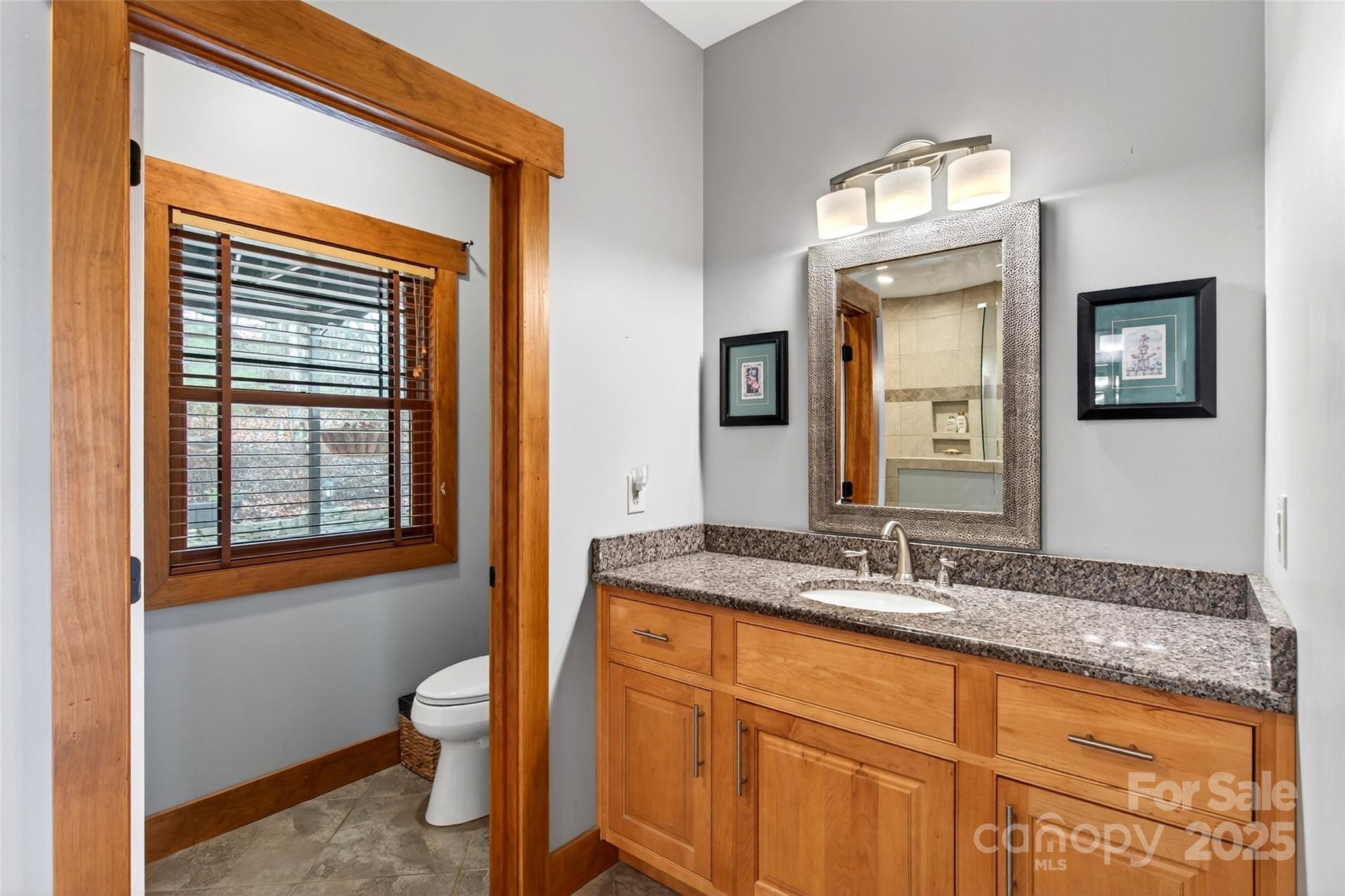 242 Lakeview Trail Nebo, NC 28761 - Photo 27 of 46 a bathroom with a toilet sink and mirror