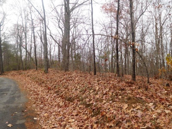 Lot 5 Long Mountain Road Pickens, SC 29671 - Photo 1 of 7