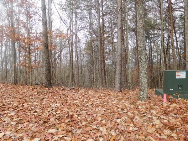 Lot 5 Long Mountain Road Pickens, SC 29671 - Photo 2 of 7