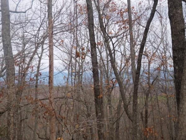 Lot 5 Long Mountain Road Pickens, SC 29671 - Photo 5 of 7