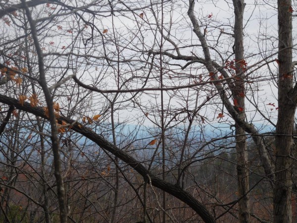 Lot 5 Long Mountain Road Pickens, SC 29671 - Photo 6 of 7