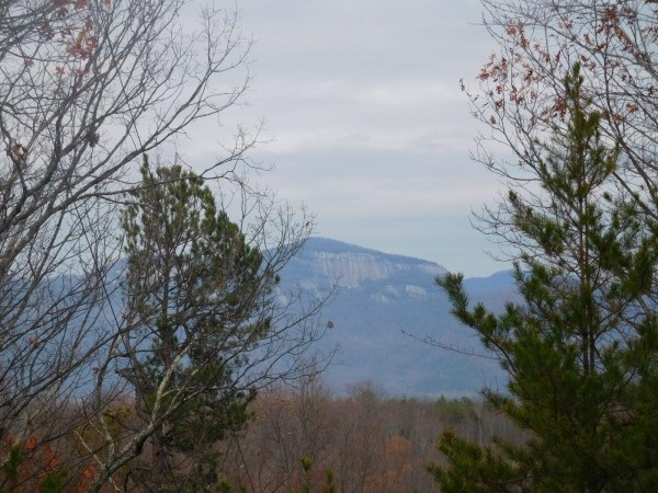 Lot 5 Long Mountain Road Pickens, SC 29671 - Photo 7 of 7