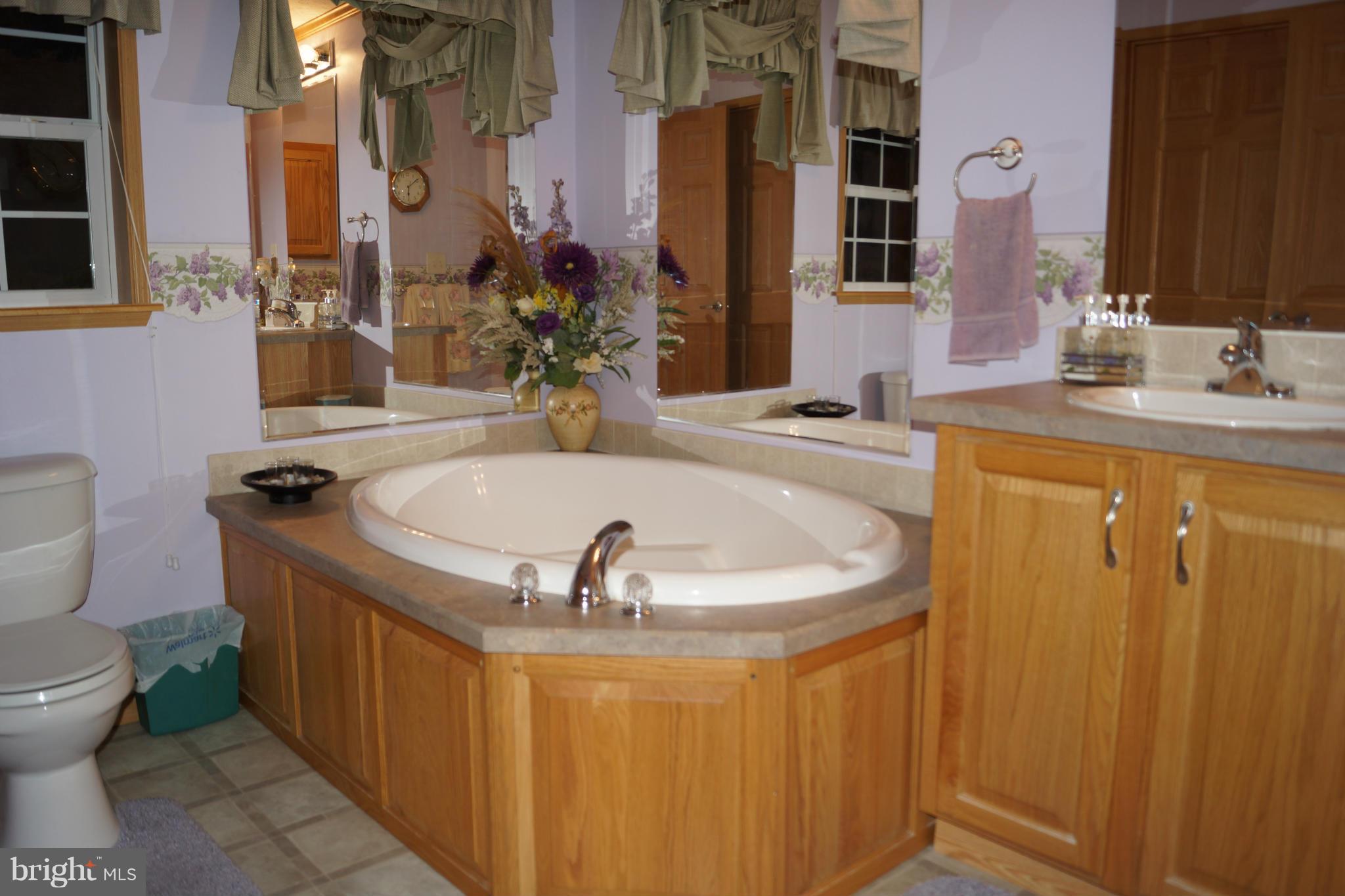 203 Wheeler School Road Pylesville, MD 21132 - Photo 20 of 30 Bath (Master)