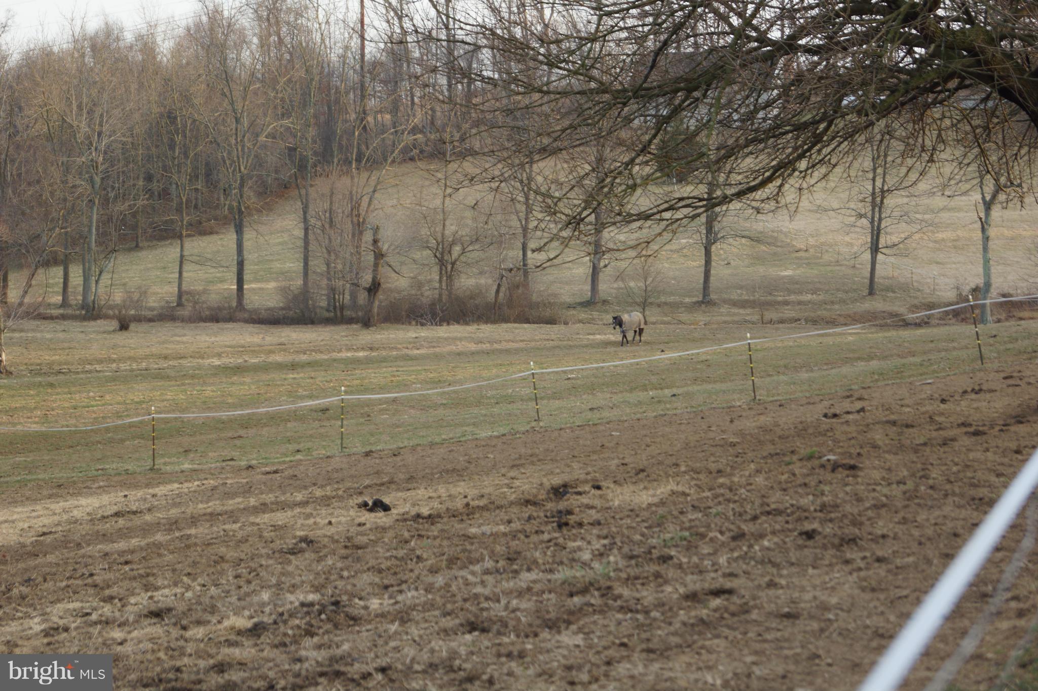 203 Wheeler School Road Pylesville, MD 21132 - Photo 29 of 30 View