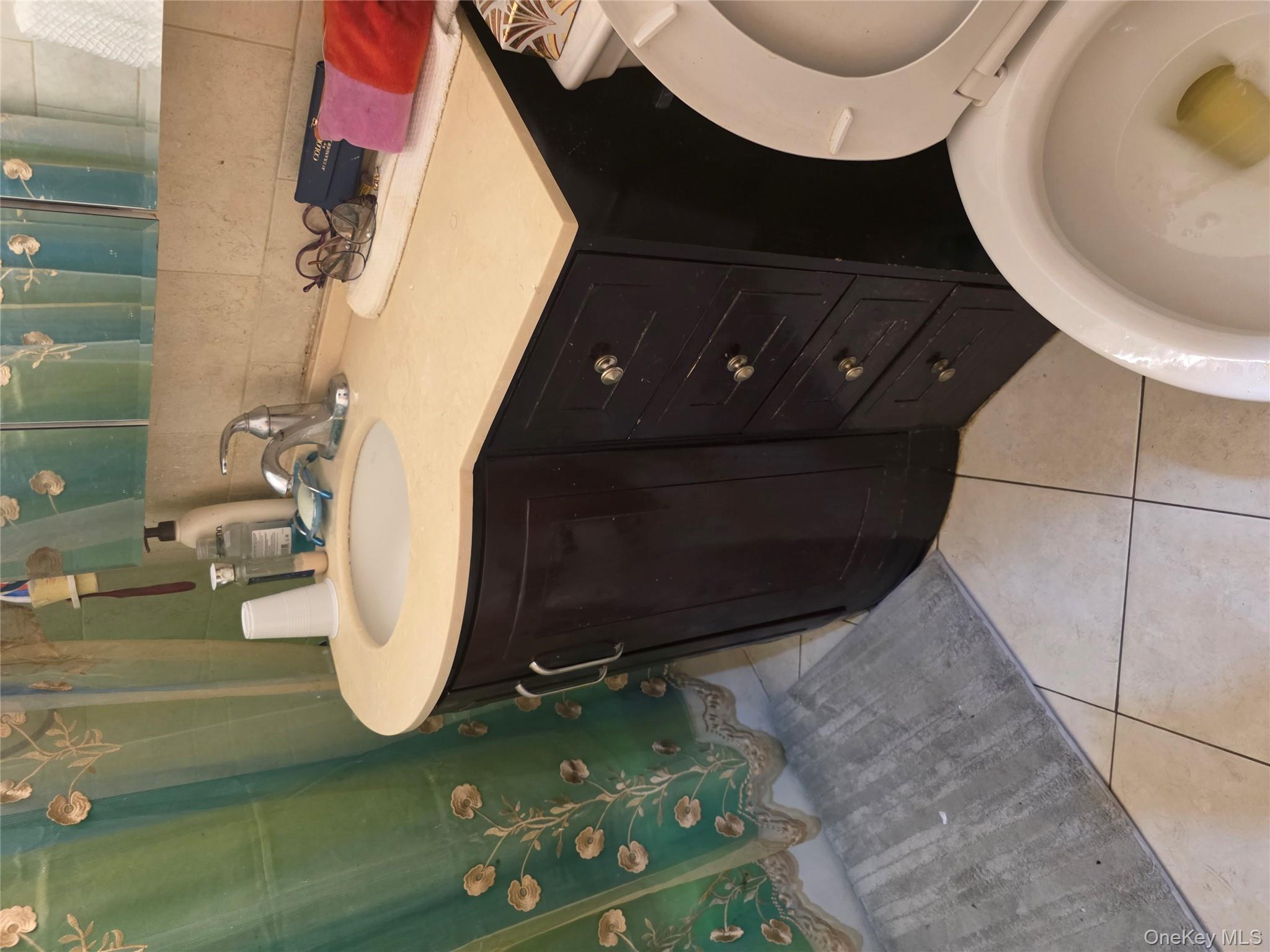 49-12 111th Street Queens, NY 11368 - Photo 5 of 9 a bathroom with a sink vanity and toilet