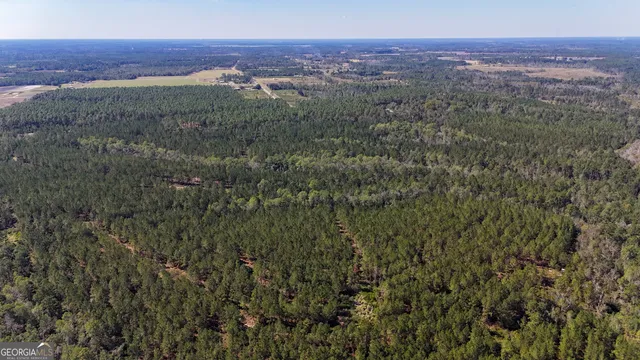 a view of city and mountain
