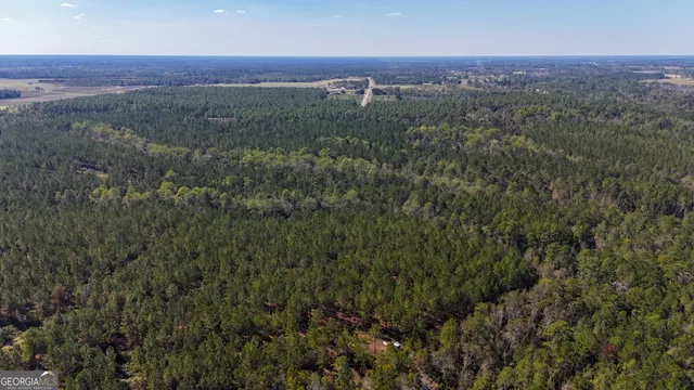 an aerial view of residential houses with outdoor space and trees