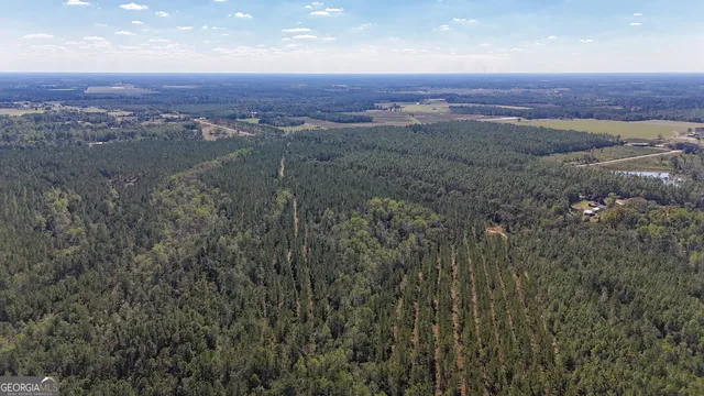 a view of city and mountain