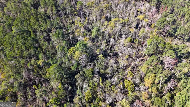a view of outdoor space with trees all around