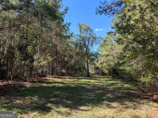 a view of swimming pool of water with green space