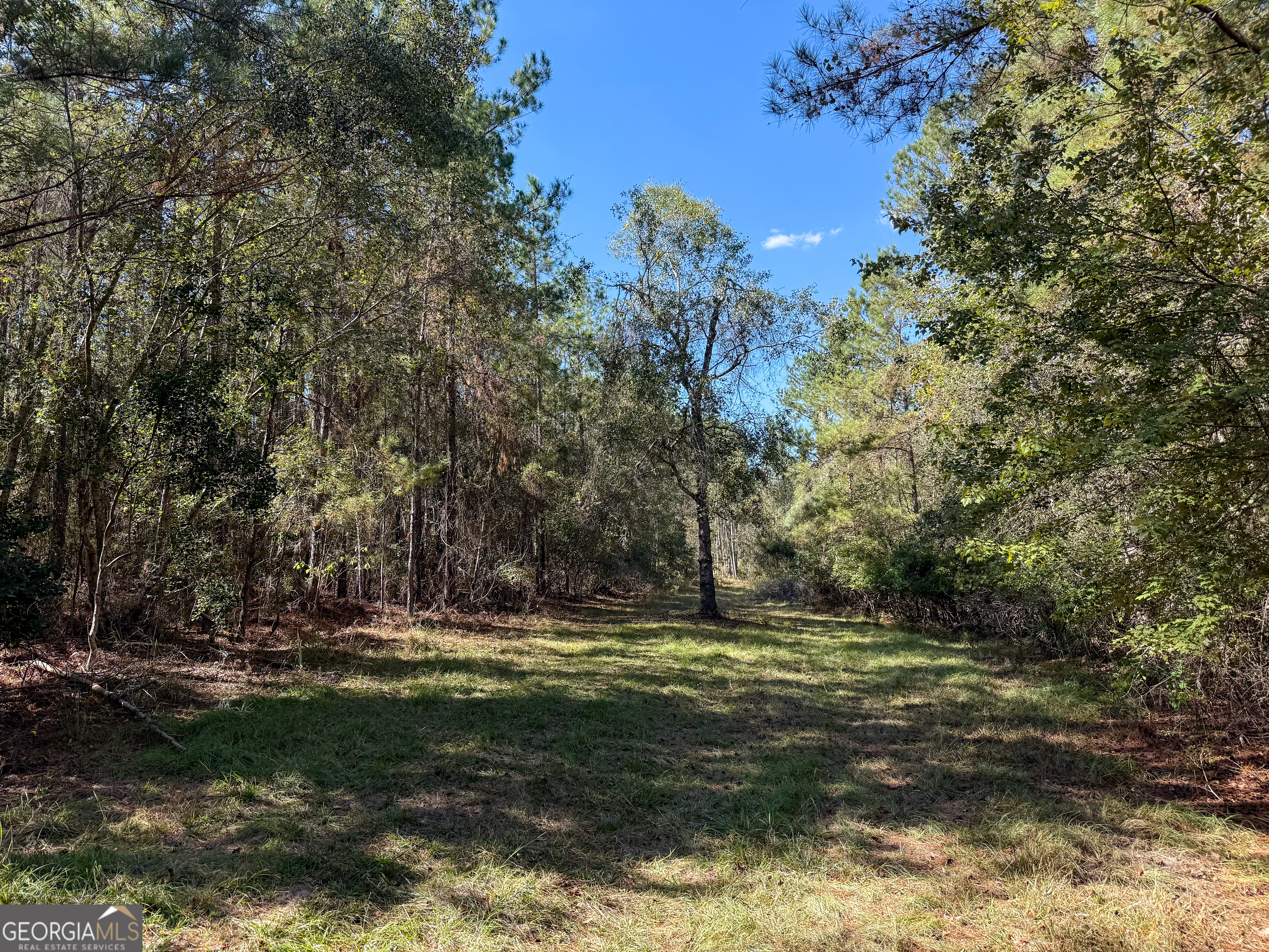 0 4th Street Extension Alma, GA 31510 - Photo 23 of 27 a view of outdoor space with trees all around